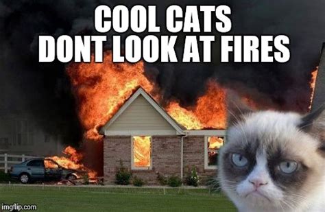 burn kitty meme imgflip