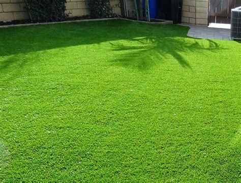 garden lawn grass buy garden lawn grass   price  inr