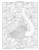 Majestic Animals Coloring sketch template