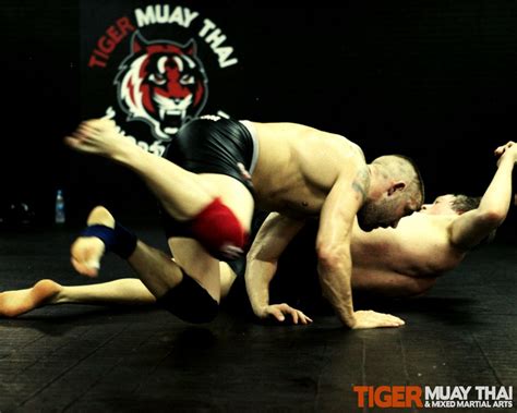 fighting thai day in the life at tiger muay thai and mma training camp