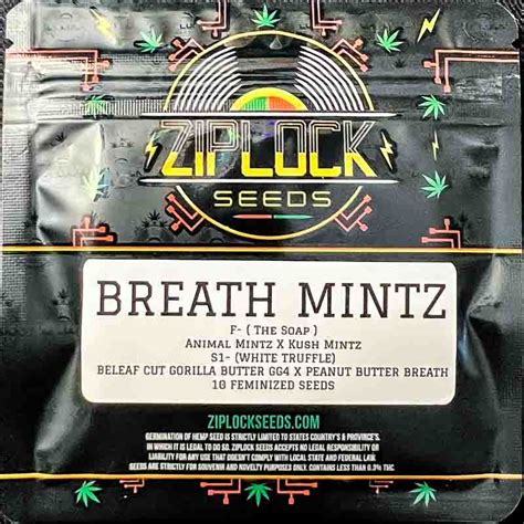 Ziplock Seeds Breath Mintz 10 Feminized Seeds Gaslamp Seeds