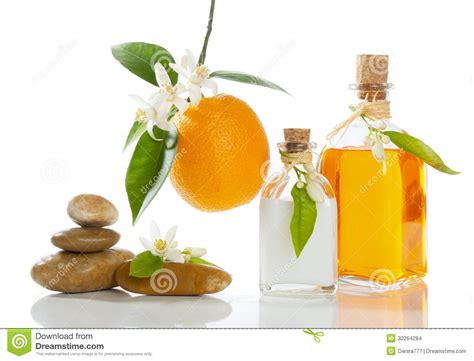 orange spa stock photo image  glass branch green