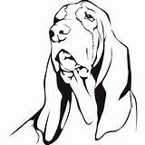 Hound Basset Sticker Getcolorings Canine sketch template