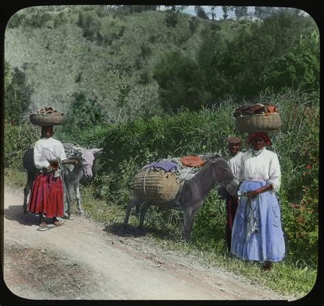 Out Of Many One People Jamaica In The 1890s – In Pictures Jamaica