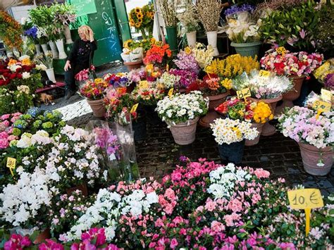 outdoor flower markets national geographic