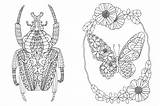 Insects Thehungryjpeg sketch template