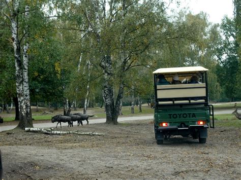 ourtravelpicscom travel  series hilvarenbeek photo  jeep  blue