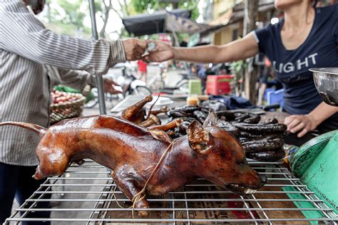 investigation  vietnams dog meat trade  wet markets