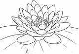 Lotus Coloring Pages Flower Colouring Printable Kids Drawing Lilies Lily Tattoo Outline Choose Board sketch template