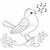 Coloring Songbird Singing Bird Stock Vector Notes Designlooter Drawings Royalty 04kb 1024px 1024 sketch template