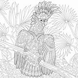 Cockatoo Mindfulness Dschungel Papegaai Kakadu Pappagallo Zentangle Erwachsene Kaketoe Gestileerde Exotique Cacatua Perroquet Jungle Parrot Malvorlagen Stockillustratie Stylise Paysage Adulti sketch template