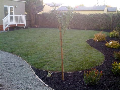 lawn care  landscaping companies   care