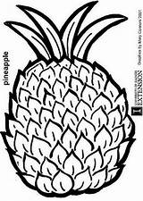 Coloring Pineapple Popular sketch template