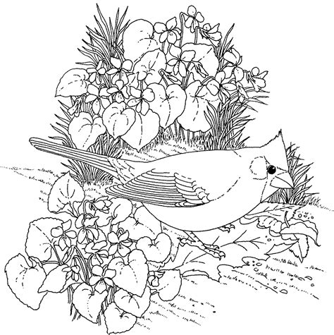 printable spring flowers coloring pages coloring home