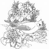 Coloring Pages Birds Flowers Popular Bird sketch template