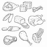 Carne Vlees Disegnata Diferentes Boceto Dibujado Vectores sketch template