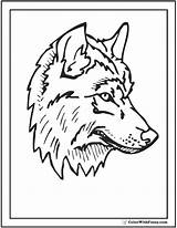 Wolf Coloring Pages Head Print Color Printable Detailed Step Drawing Realistic Customize Getcolorings Kids Getdrawings Colorwithfuzzy sketch template