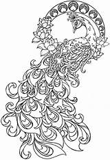 Peacock Coloring Tattoo sketch template