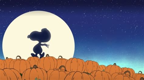 Things Only Adults Notice In It S The Great Pumpkin Charlie Brown