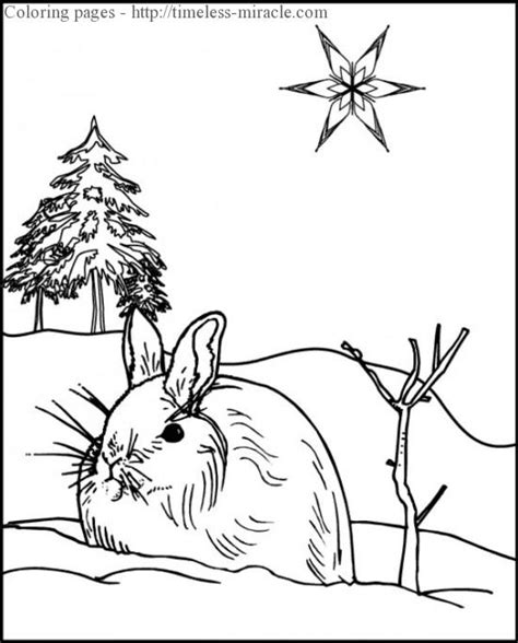 winter animal coloring pages photo  timeless miraclecom