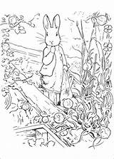 Konijn Pieter Rabbit Stemmen Beatrix sketch template