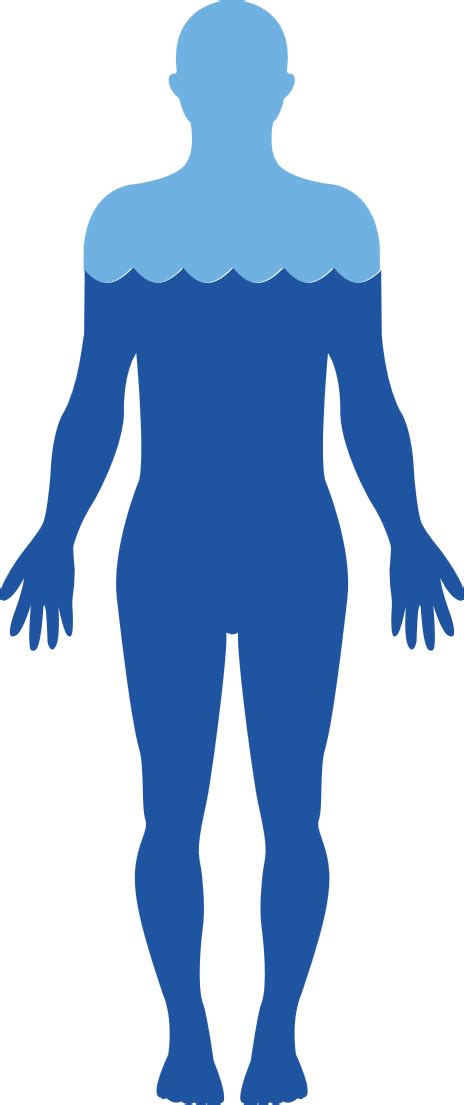 body  png image png  png
