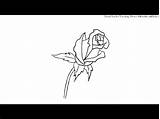 Rose Bud Coloring Pages Draw Lovely Drawing Simple Getcolorings sketch template