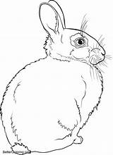 Coloring Winter Pages Rabbit Kids Printable sketch template