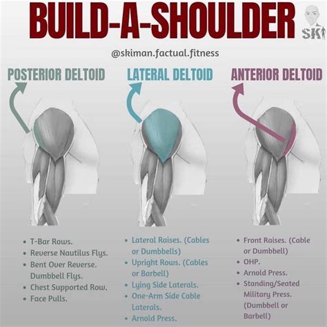 fitness tips shoulder workout shoulder muscles deltoid workout