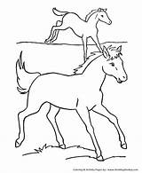 Pasture Caballos Pferd Kleurplaten Veulens Paarden Designlooter Marcados Pertenecen Coloringhome sketch template