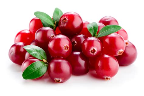 cranberry saft kapseln oder fruechte pur naturheilkunde