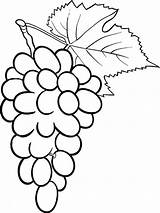 Pages Coloring Grape Grapes Fruits Recommended sketch template