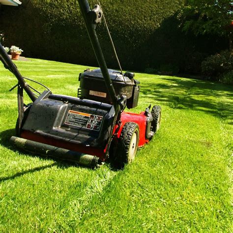 mow  lawn tips tricks biederman real estate