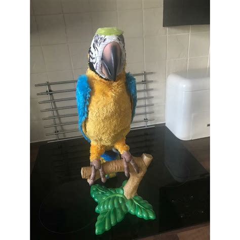 price reduced squawkers mccaw interactive robotic parrot fur real  hamilton south