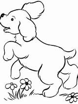 Hond Kleurplaten Topkleurplaat Animal Faciles Tiernos Sobres Bord Perros Artykuł Momjunction sketch template