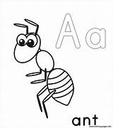 Ant Coloring Pages Printable Kids Alphabet Template Color Drawing Ants Print Book Cartoon Preschool Queen Grasshopper Anthill Coloringbay Clipartmag Getdrawings sketch template