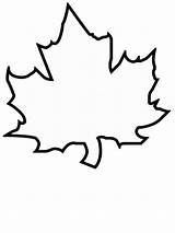 Simple Leaf Labeled Coloring Pages Template sketch template