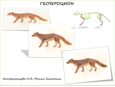 god sobaki  biologicheskimi zagadkami dlja detej magija biologii