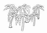 Palmen Palmenstrand Malvorlage sketch template