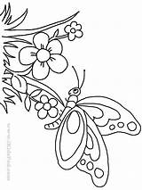 Butterfly Coloring Flower Pages Cute Drawing Embroidery Line Butterflies Drawings Kids Printable Cartoon Patterns Adults Clip Book Cliparts Flowers Colouring sketch template