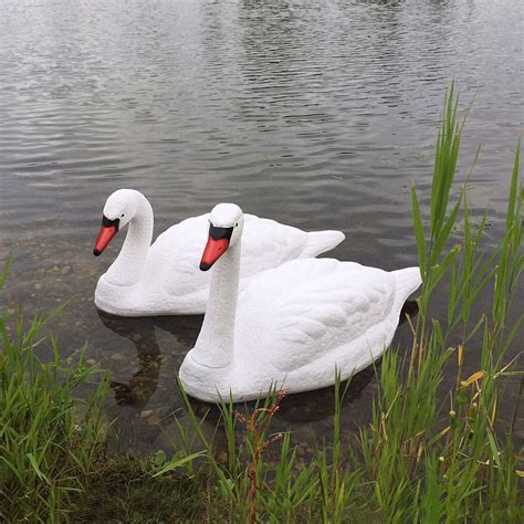 swan decoys goose repellent decoys  pond guy