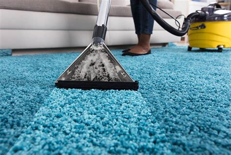 carpet cleaning tips   pros  housekeeper