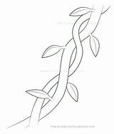 Drawing Vine Vines Leaves Drawings Leaf Draw Jungle Grape Sketches Flower Getdrawings Flowers Hand Steps Patterns sketch template