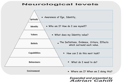 neuro logical levels explained   nlp coach adrian cahill