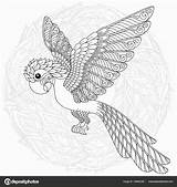 Moeilijk Vogel Kleurplaten Papegaai Dieren Voorbeeldsjabloon sketch template