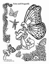 Coloring Dragonfly Fairy Pages Drangonfly Printable Nature Getcolorings Color sketch template