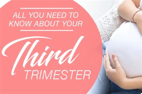 Guide All You Need To Know About Your Third Trimester