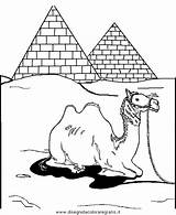 Colorat Desene Camila Camelo Planse Camellos Ausmalen Cammelli Cammello Camello Kamele Camile Pyramide Sheets Malvorlagen Animale Imagini Camelos Ausmalbilder Disegno sketch template