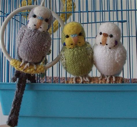knitted budgies  swings  budgiesknitted budgies  carol harrison   budgies
