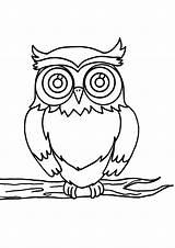 Hibou Hiboux Gufo Coloriages Attrape Animaux Reve Seulement Danieguto sketch template